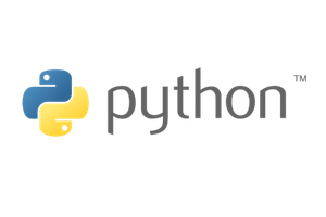 Partner Logo 8